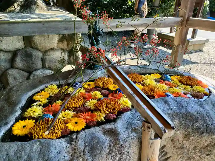 都波岐奈加等神社の手水舎