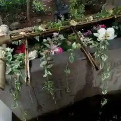 北本氷川神社の手水