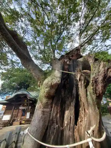 阿邪訶根神社(福島県)