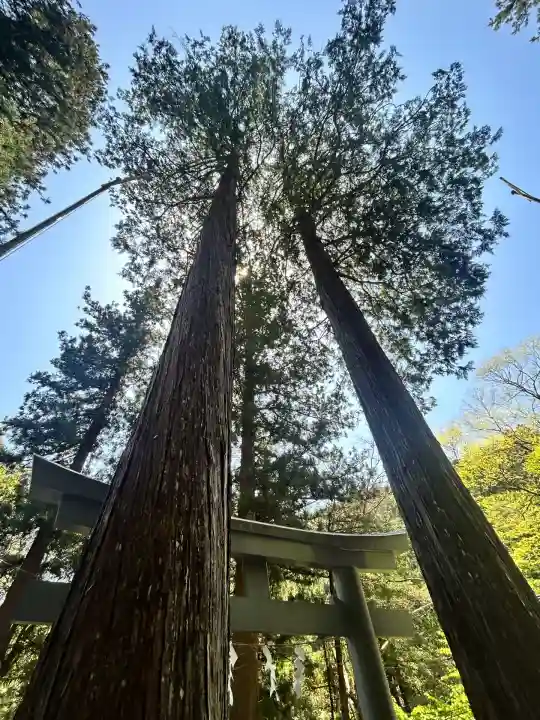 九頭龍神社(東京都)