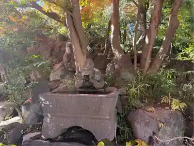 渋川八幡宮(群馬県)