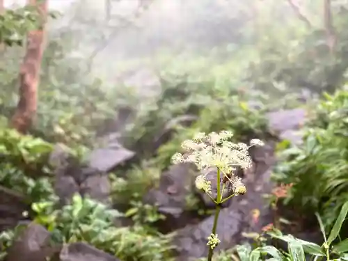 飯縄神社 奥社の自然