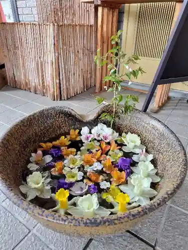 美瑛神社の手水