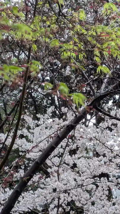 建部大社(滋賀県)