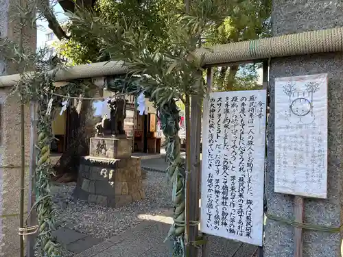 橘樹神社(神奈川県)