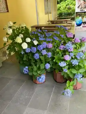 長谷寺(神奈川県)