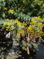 蔵前神社(東京都)