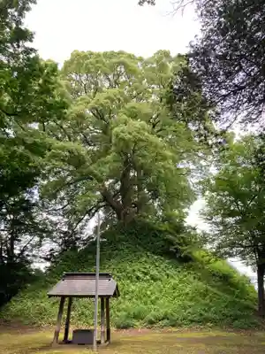 楠木神社(茨城県)