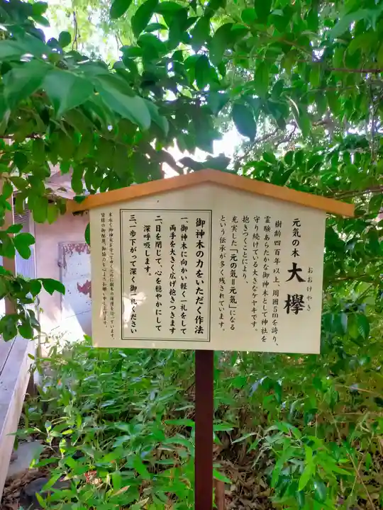 鎮守氷川神社(埼玉県)