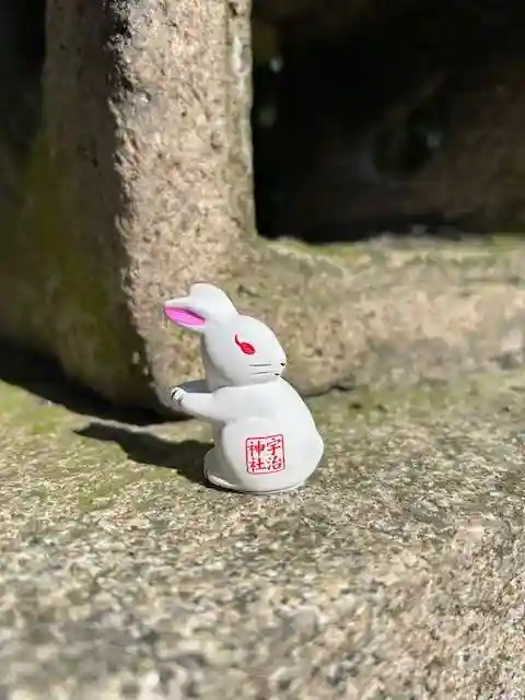 宇治神社のおみくじ