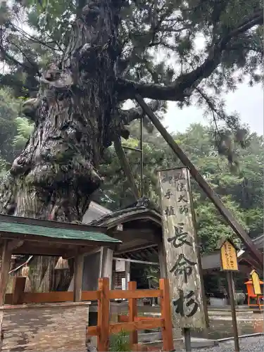 極楽寺(徳島県)