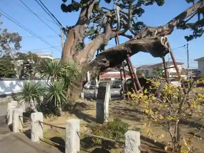 妙法寺(神奈川県)