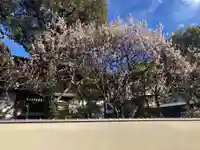 観音蜜寺(神奈川県)