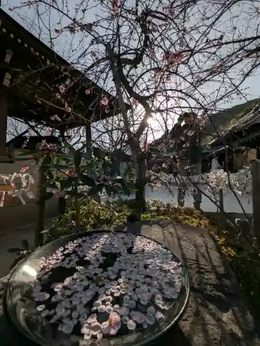 北野天満神社の{uncategorized: "未分類", other: "その他", undefined: "問題あり", building: "その他建物", grave: "お墓", sacred_gate: "鳥居", guardian: "狛犬", statue: "像", buddha: "仏像", history: "歴史", nature: "自然", garden: "庭園", animal: "動物", pagoda: "塔", temizu: "手水舎", mountain_gate: "山門・神門", sanctuary: "本殿・本堂", subordinate: "末社・摂社", art: "芸術", scenery: "景色", jizo: "地蔵", ema: "絵馬", goshuin: "御朱印", omikuji: "おみくじ", items: "授与品その他", amulet: "お守り", goshuincho: "御朱印帳", eats: "食事", festival: "お祭り", votive_dance: "神楽", shichigosan: "七五三参", wedding: "結婚式", experience: "体験その他", initially: "初詣", around: "周辺", anti_infection: "感染症対策"}