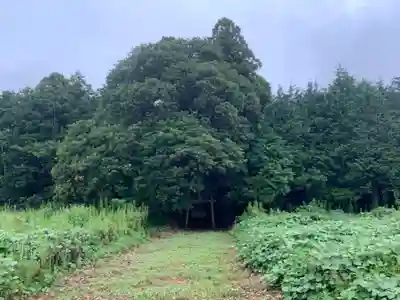 妙見神社(千葉県)