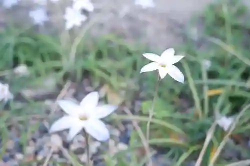 御霊神社(奈良県)
