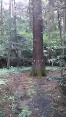 吉田神社の建物その他