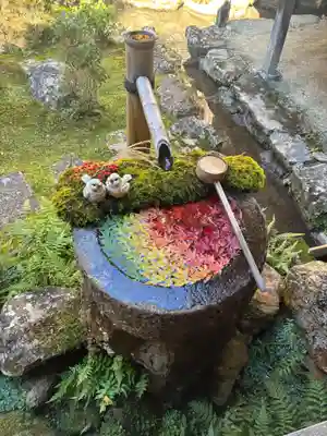 柳谷観音　楊谷寺(京都府)