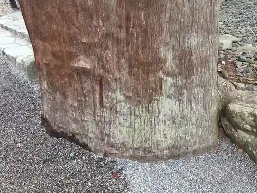 伊勢神宮外宮（豊受大神宮）(三重県)
