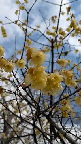 惠心院（恵心院）(京都府)