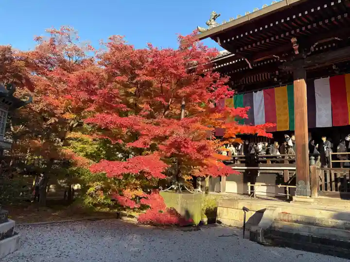 禅林寺(永観堂)(京都府)