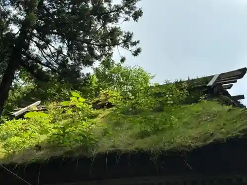 彌彦神社(新潟県)