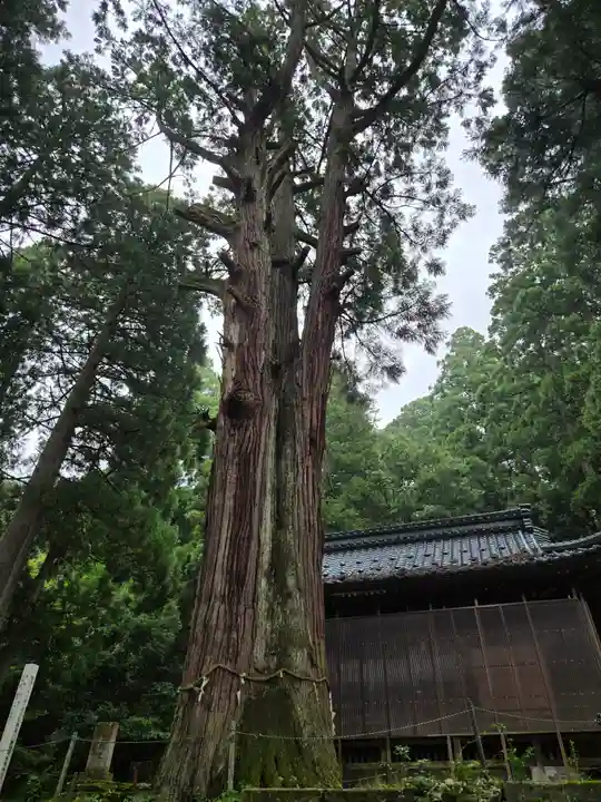 白山神社(福井県)