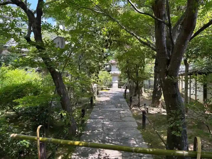 退蔵院(京都府)