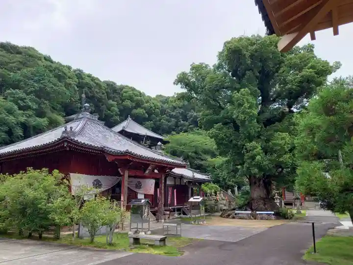 観音寺(香川県)