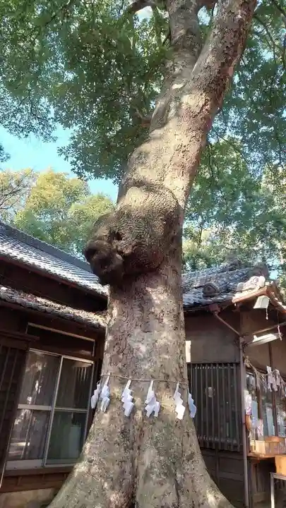 氷川女體神社(埼玉県)