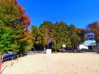 稲荷神社(小田渕町)の自然