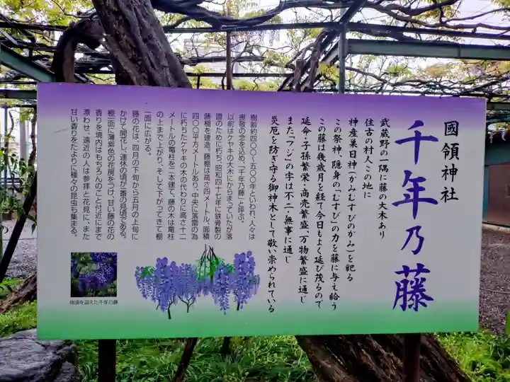 國領神社(東京都)