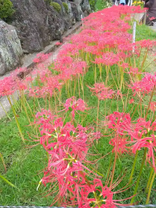 横浜 西方寺(神奈川県)
