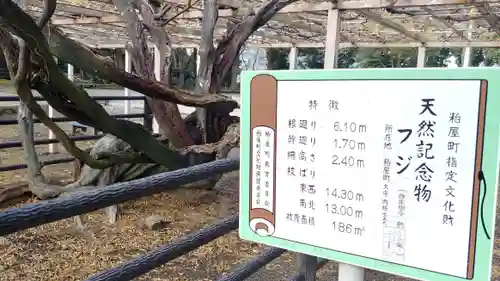 熊野神社のその他建物