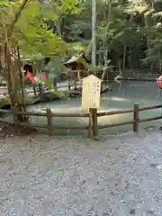 小國神社(静岡県)