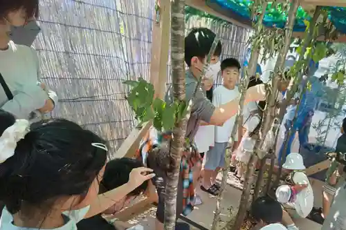 金蛇水神社(宮城県)