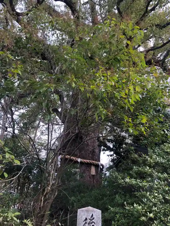 新熊野神社(京都府)
