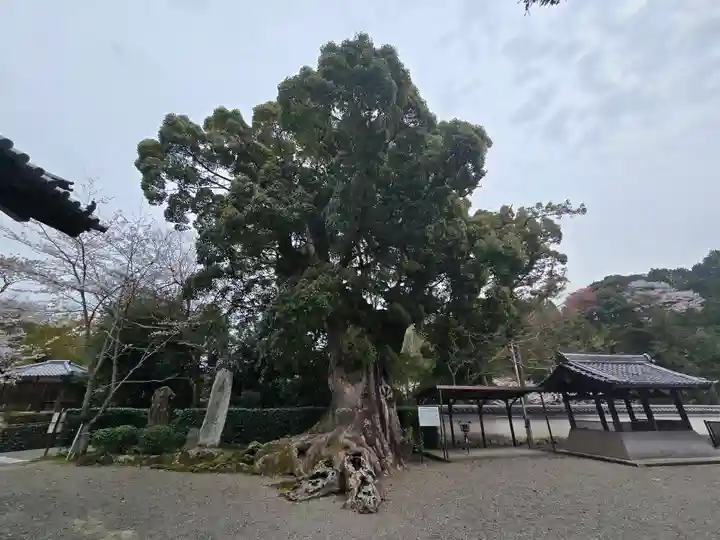 粉河寺(和歌山県)