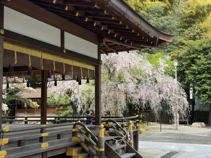 平野神社の{uncategorized: "未分類", other: "その他", undefined: "問題あり", building: "その他建物", grave: "お墓", sacred_gate: "鳥居", guardian: "狛犬", statue: "像", buddha: "仏像", history: "歴史", nature: "自然", garden: "庭園", animal: "動物", pagoda: "塔", temizu: "手水舎", mountain_gate: "山門・神門", sanctuary: "本殿・本堂", subordinate: "末社・摂社", art: "芸術", scenery: "景色", jizo: "地蔵", ema: "絵馬", goshuin: "御朱印", omikuji: "おみくじ", items: "授与品その他", amulet: "お守り", goshuincho: "御朱印帳", eats: "食事", festival: "お祭り", votive_dance: "神楽", shichigosan: "七五三参", wedding: "結婚式", experience: "体験その他", initially: "初詣", around: "周辺", anti_infection: "感染症対策"}