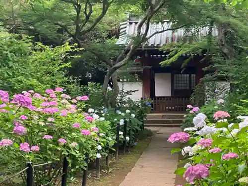 本土寺(千葉県)