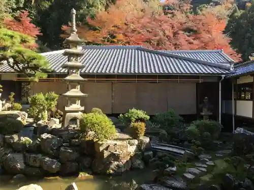 興聖寺（興聖寶林禅寺）の庭園