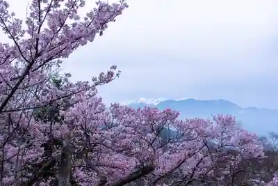 新城藤原神社(長野県)