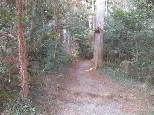 手接足尾神社の自然