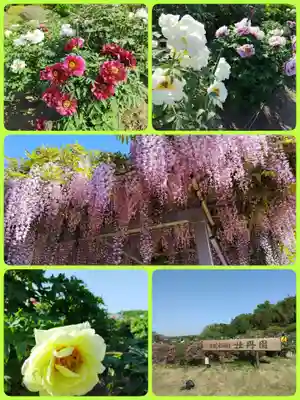 金蛇水神社(宮城県)