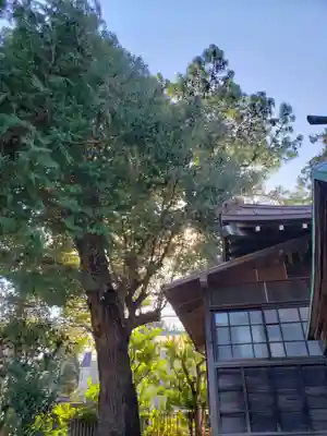 高円寺天祖神社のその他建物