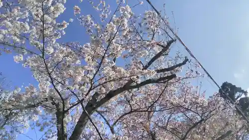 常照寺の自然