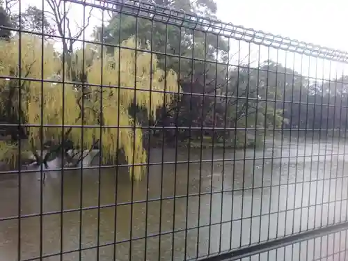 菊田神社の自然