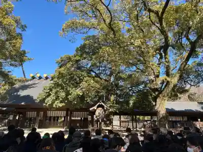 熱田神宮(愛知県)