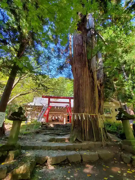 磐椅神社(福島県)