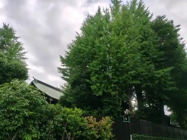 七社神社(東京都)